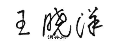 骆恒光王晓洋草书个性签名怎么写