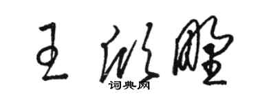 骆恒光王欣野草书个性签名怎么写