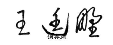 骆恒光王廷野草书个性签名怎么写