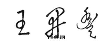 骆恒光王开丰草书个性签名怎么写