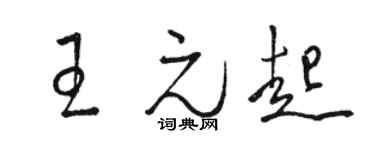 骆恒光王元起草书个性签名怎么写