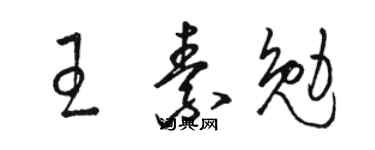 骆恒光王素勉草书个性签名怎么写