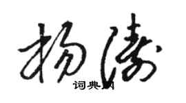 骆恒光杨涛草书个性签名怎么写