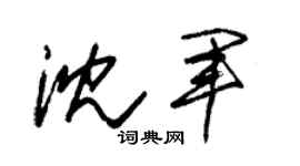 朱锡荣沈军草书个性签名怎么写