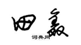 朱锡荣田鑫草书个性签名怎么写