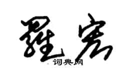 朱锡荣罗宏草书个性签名怎么写