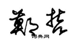 朱锡荣郑哲草书个性签名怎么写