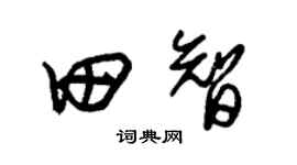 朱锡荣田智草书个性签名怎么写