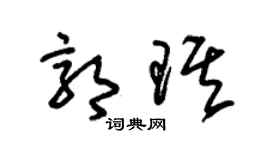 朱锡荣郭琪草书个性签名怎么写