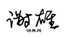 朱锡荣谢雄草书个性签名怎么写