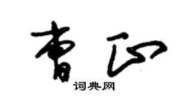 朱锡荣曹正草书个性签名怎么写