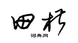 朱锡荣田椒草书个性签名怎么写