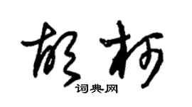 朱锡荣胡柯草书个性签名怎么写