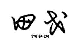 朱锡荣田戈草书个性签名怎么写