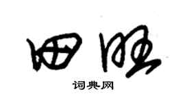 朱锡荣田旺草书个性签名怎么写