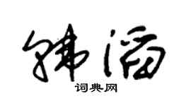 朱锡荣韩滔草书个性签名怎么写