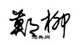 朱锡荣郑柳草书个性签名怎么写