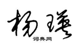 朱锡荣杨瑛草书个性签名怎么写