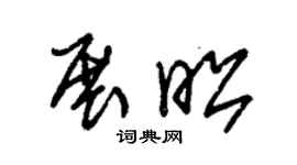 朱锡荣展昭草书个性签名怎么写