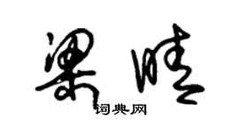 朱锡荣梁晴草书个性签名怎么写