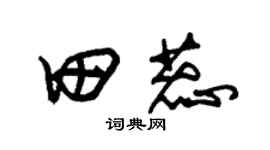 朱锡荣田蕊草书个性签名怎么写