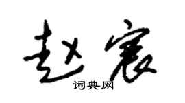 朱锡荣赵宸草书个性签名怎么写