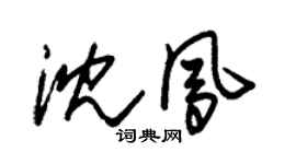 朱锡荣沈凤草书个性签名怎么写