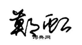 朱锡荣郑虹草书个性签名怎么写