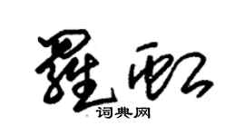 朱锡荣罗虹草书个性签名怎么写