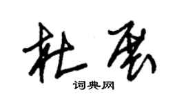 朱锡荣杜展草书个性签名怎么写