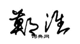 朱锡荣郑淮草书个性签名怎么写