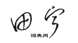 骆恒光田宁草书个性签名怎么写