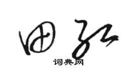 骆恒光田红草书个性签名怎么写