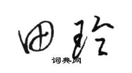 骆恒光田玲草书个性签名怎么写