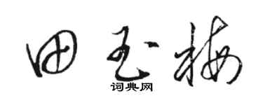 骆恒光田玉梅草书个性签名怎么写