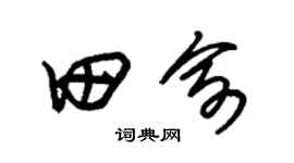 朱锡荣田俞草书个性签名怎么写