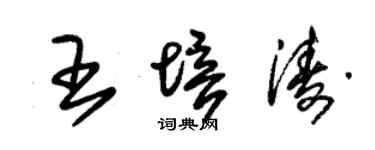 朱锡荣王培涛草书个性签名怎么写