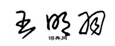 朱锡荣王明羽草书个性签名怎么写