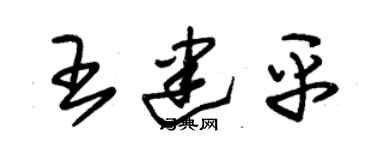 朱锡荣王建平草书个性签名怎么写