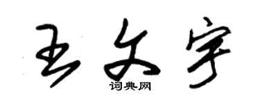 朱锡荣王文宇草书个性签名怎么写