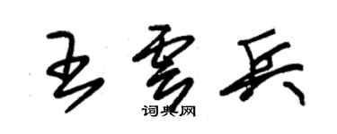 朱锡荣王云兵草书个性签名怎么写