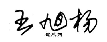朱锡荣王旭杨草书个性签名怎么写