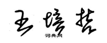 朱锡荣王培哲草书个性签名怎么写