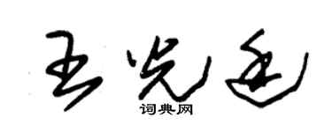 朱锡荣王光廷草书个性签名怎么写