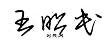 朱锡荣王昭民草书个性签名怎么写