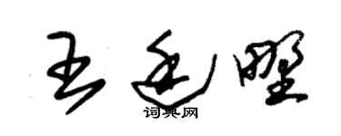 朱锡荣王廷野草书个性签名怎么写