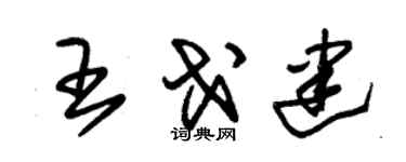 朱锡荣王戈建草书个性签名怎么写