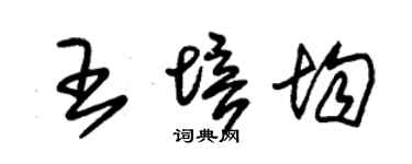 朱锡荣王培均草书个性签名怎么写