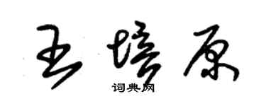 朱锡荣王培原草书个性签名怎么写