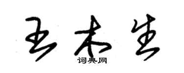 朱锡荣王木生草书个性签名怎么写